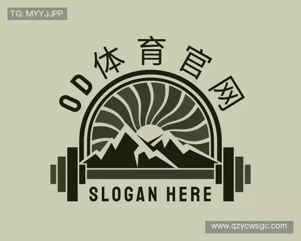 介绍OD体育官网