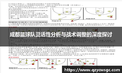 成都篮球队灵活性分析与战术调整的深度探讨