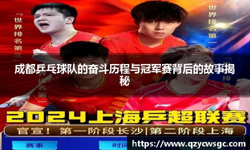 成都乒乓球队的奋斗历程与冠军赛背后的故事揭秘