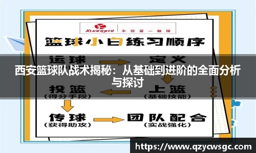 西安篮球队战术揭秘：从基础到进阶的全面分析与探讨